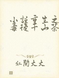 小说重生之将门毒后千山茶客手机版