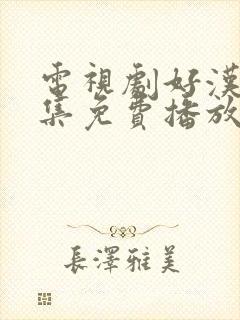 电视剧好汉35集免费播放