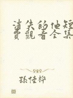 消失的他短剧免费观看全集封面