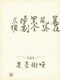 《扫黑风暴》电视剧全集在线观看