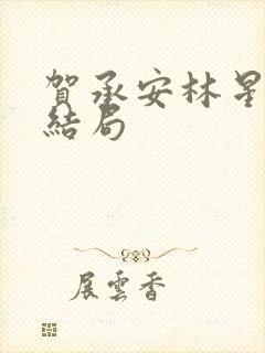 贺承安林星洛大结局封面