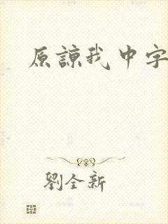 原谅我中字封面
