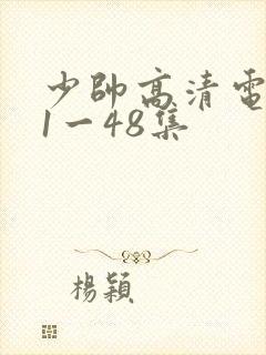 少帅高清电视剧1一48集