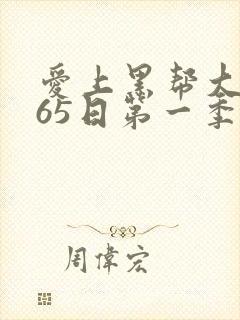 爱上黑帮大佬365日第一季