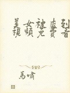 美女被爽到高潮视频免费看