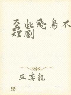 至此飞鸟不相逢短剧