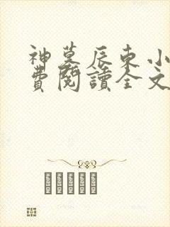 神墓辰东小说免费阅读全文