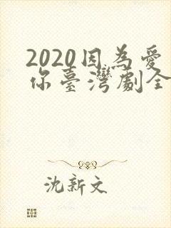 2020因为爱你台湾剧全双男主封面