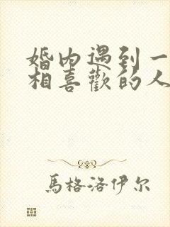 婚内遇到一个互相喜欢的人怎么办封面