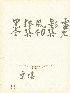 黑狐风影电视剧全集40集免费观看高清