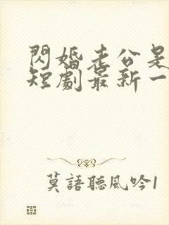 闪婚老公是总裁短剧最新一集