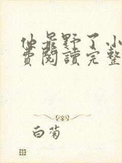 他最野了小说免费阅读完整版无弹窗