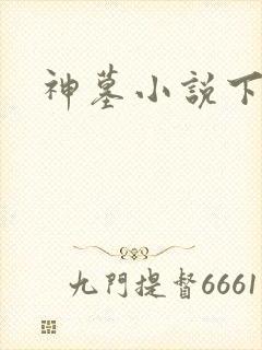 神墓小说下载