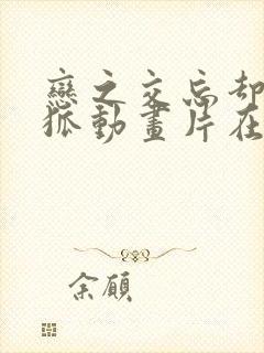 恋之交忘却の妖狐动画片在哪里看