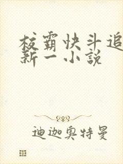 校霸快斗追学霸新一小说