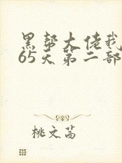 黑帮大佬我的365天第二部