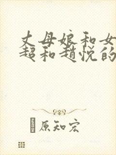 丈母娘和女婿陈超和赵悦的小说封面