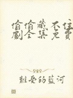 偷偷藏不住电视剧全集免费观看2023