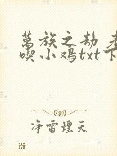 万族之劫 老鹰吃小鸡txt下载封面