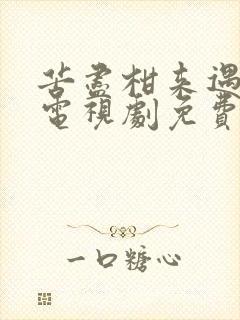 苦尽柑来遇见你电视剧免费观看高清