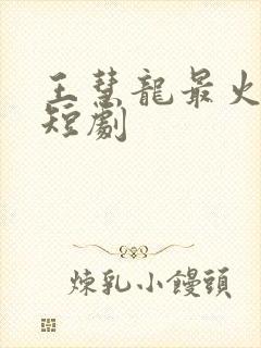 王慧龙最火十部短剧封面