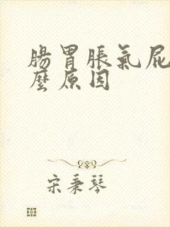 肠胃胀气屁多什么原因