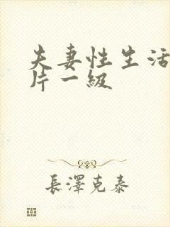 夫妻性生活黄色片一级封面