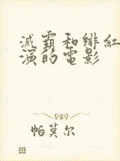 灭霸和绯红女巫演的电影封面