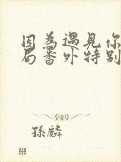 因为遇见你大结局番外特别版