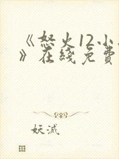 《怒火12小时》在线免费观看封面