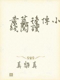 黄蓉后传小说在线阅读封面