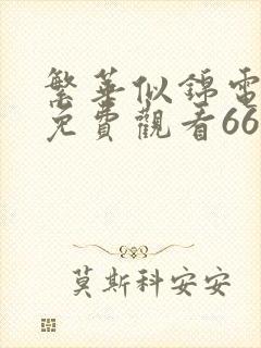 繁华似锦电视剧免费观看66影院封面