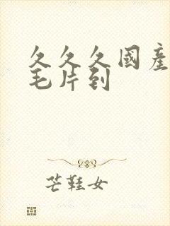 久久久国产精品毛片到