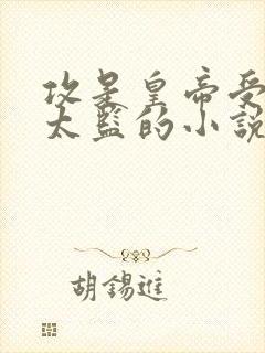 攻是皇帝受是小太监的小说