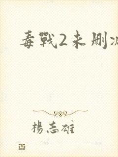 毒战2未删减版封面