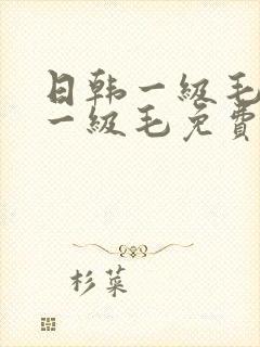 日韩一级毛欧美一级毛免费