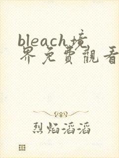 bleach境界免费观看全集完整版高清封面