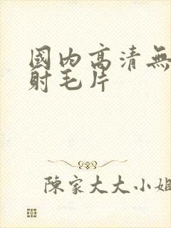 国内高清无套内射毛片