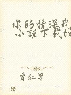 你的情深我不配 小说下载txt