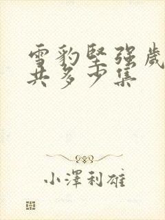 雪豹坚强岁月一共多少集