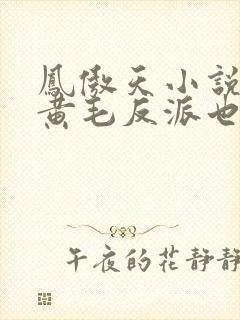凤傲天小说里的黄毛反派也想幸福小说免费
