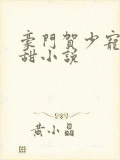 豪门贺少宠妻太甜小说