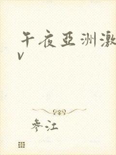 午夜亚洲激情av