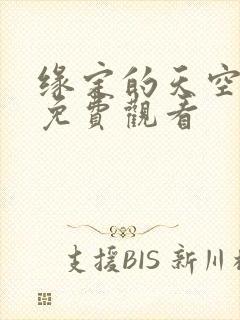 缘定的天空泰剧免费观看封面