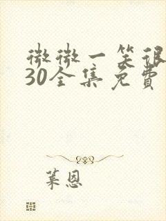 微微一笑很倾城30全集免费观看