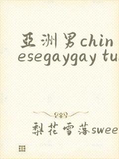 亚洲男chinesegaygay tube