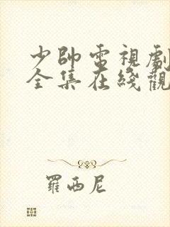 少帅电视剧高清全集在线观看