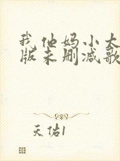 我他妈小太妹原版未删减歌词是什么