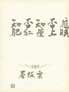 知否知否应是绿肥红瘦上映时间封面