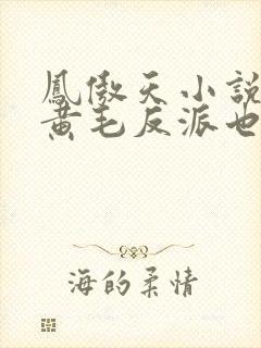 凤傲天小说里的黄毛反派也想幸福笔趣阁